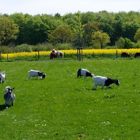 Ferienwohnungen Auf Dem Ferienhof Sell Stoltebüll Exteriör bild