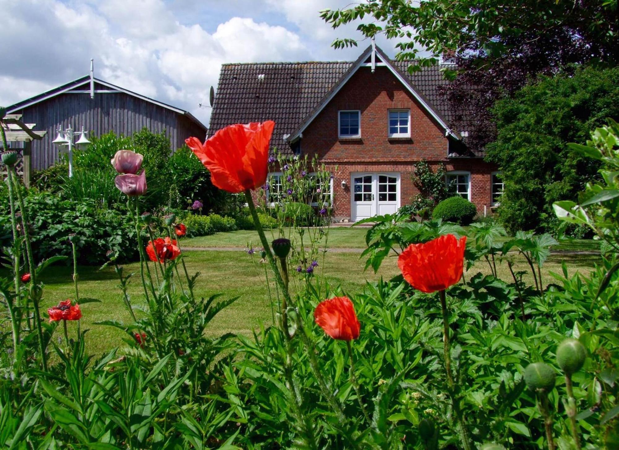 Ferienwohnungen Auf Dem Ferienhof Sell Stoltebüll Exteriör bild